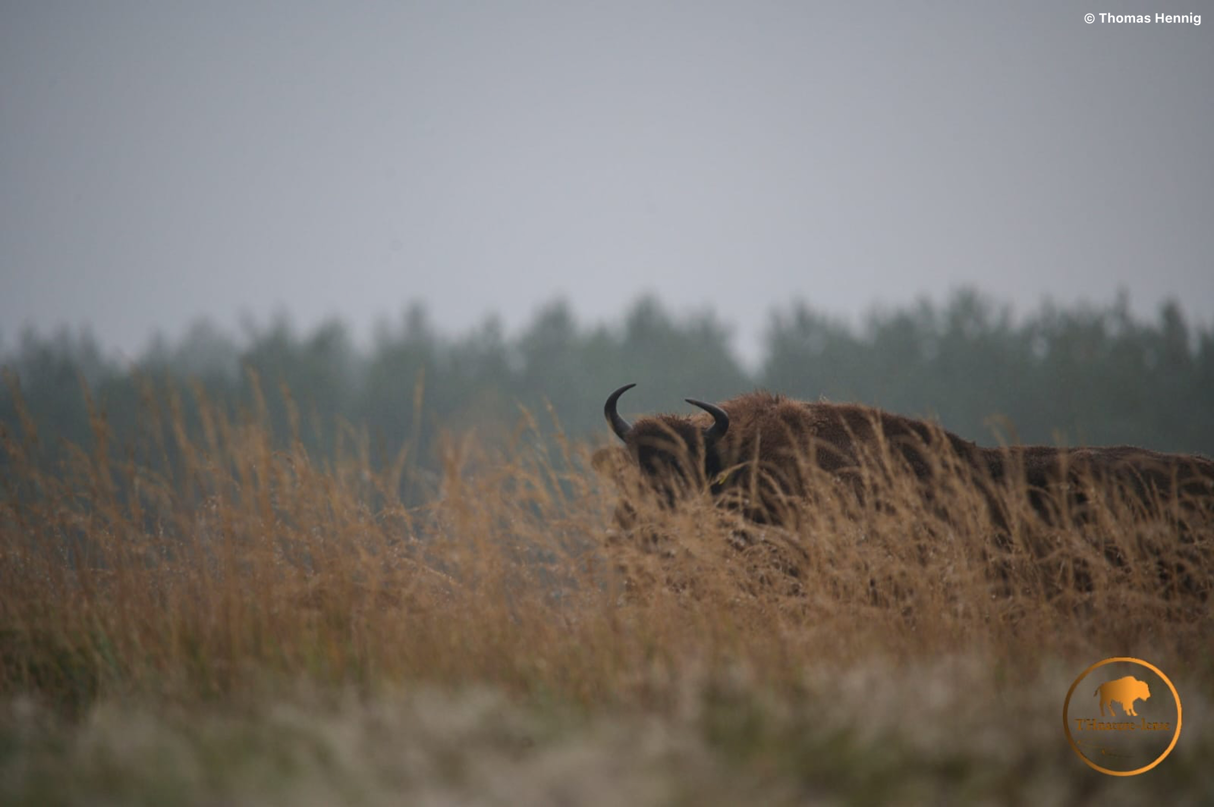 Wildpark Schorfheide das Ausflusgsziel für die ganze Familie